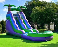 Purple Tropical Water Slide with Attached Pool