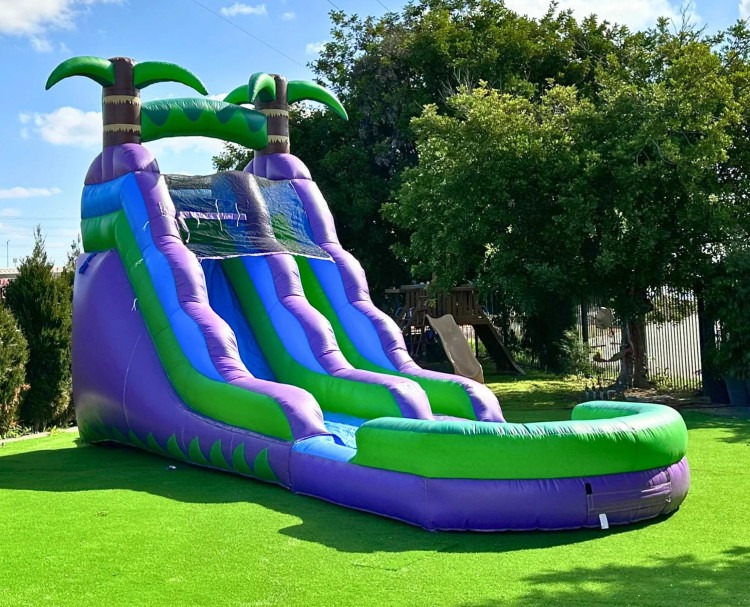 Purple Tropical Water Slide with Attached Pool