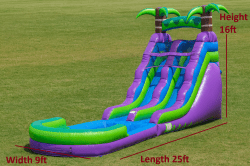 hk2 1752208532 Purple Tropical Water Slide with Attached Pool